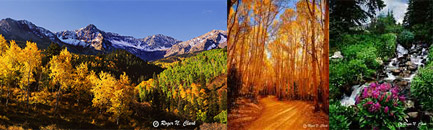 Large Format Image Gallery