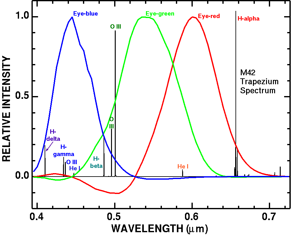 M42 Trapezium true color,