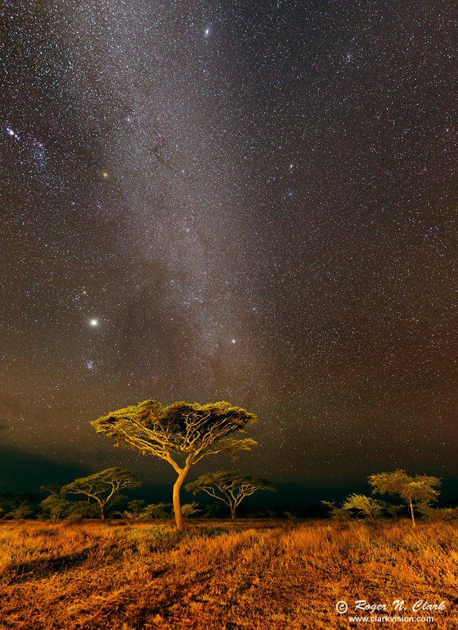 image ndutu.night.c02.14.2013.C45I2514-25.g-900.jpg is Copyrighted by Roger N. Clark, www.clarkvision.com